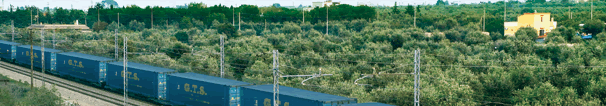 Area riservata G.T.S. Trasporti S.p.A.